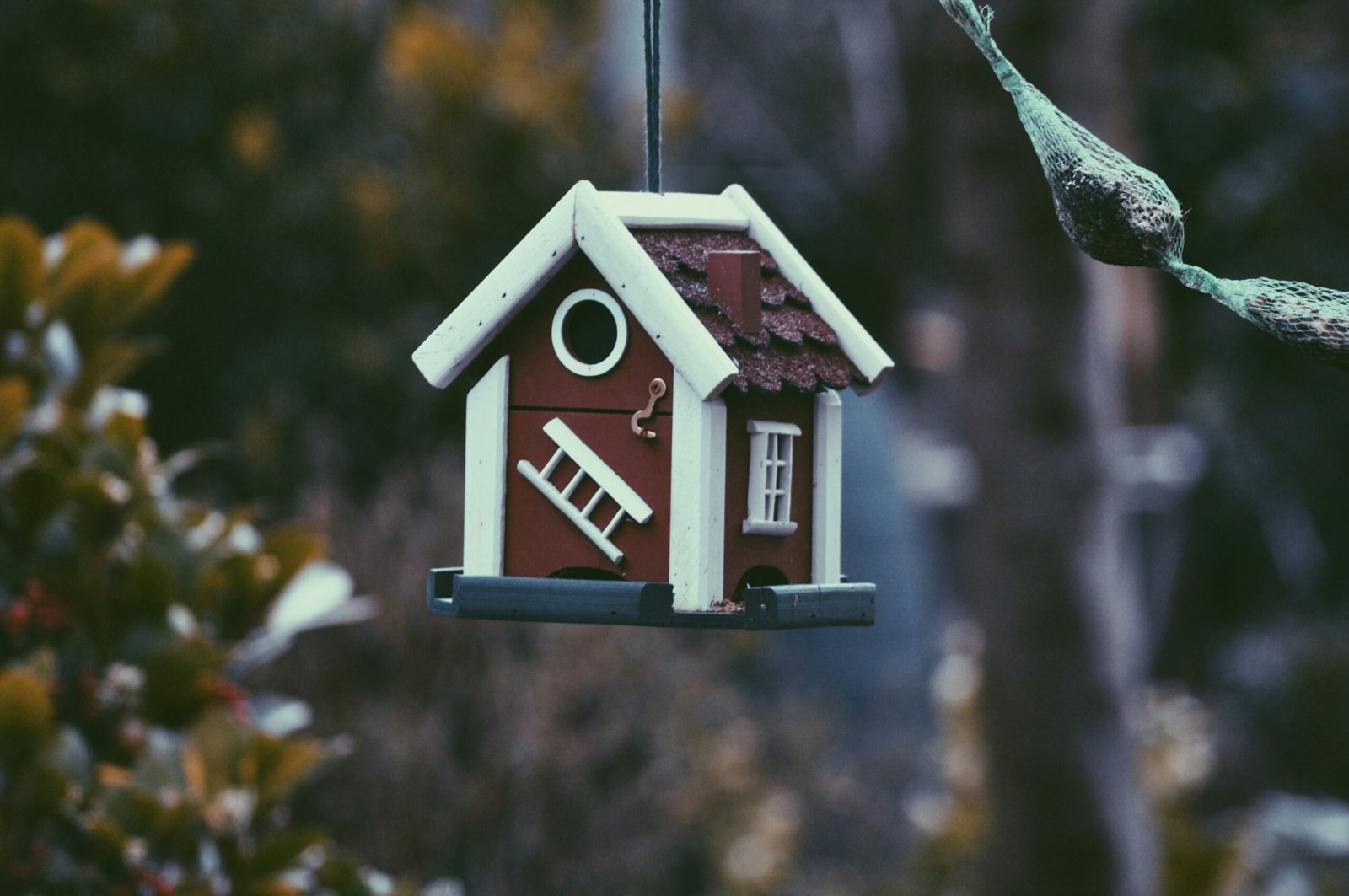 closeup photo of red and white bird house